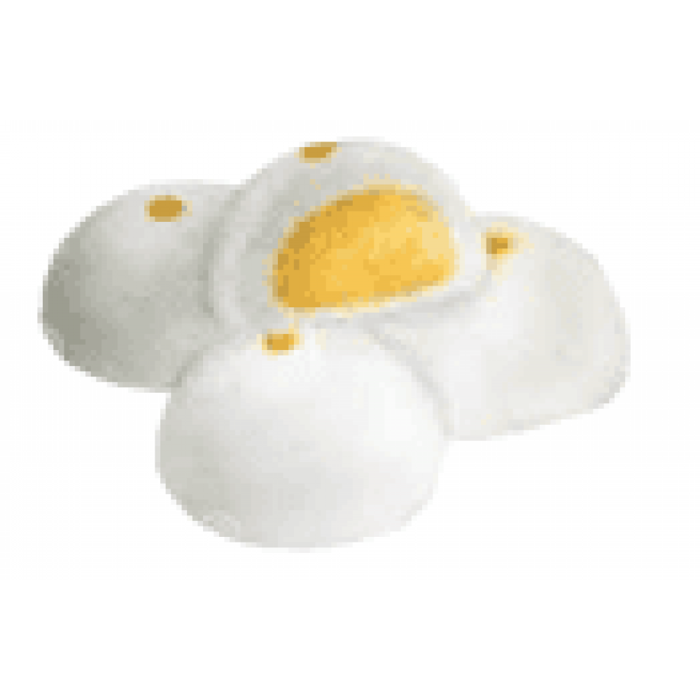 CUSTARD BUN 30 GM X 100 PCS