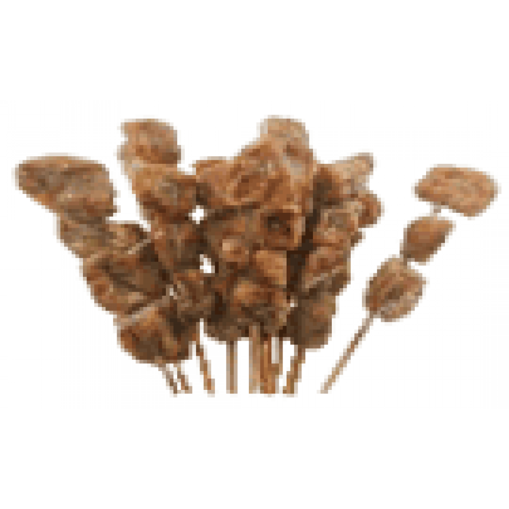 FISH SATAY 1 KG