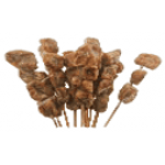 FISH SATAY 1 KG