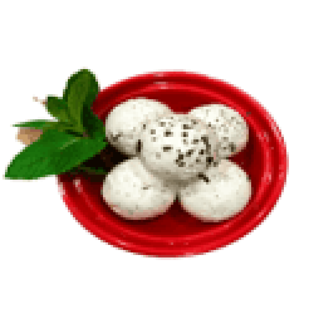 LABNEH BALLS IN OLIVE OIL –MINT 1 X 5 KG